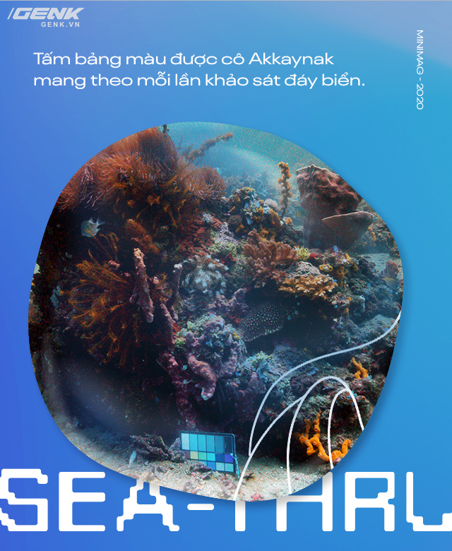 Bỏ ng&agrave;nh h&agrave;ng kh&ocirc;ng vũ trụ để theo đuổi nghiệp hải dương học, c&ocirc; chuy&ecirc;n gia ph&aacute;t triển thuật to&aacute;n sửa ảnh vượt mặt Photoshop - Ảnh 7.