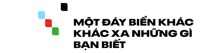 Bỏ ng&agrave;nh h&agrave;ng kh&ocirc;ng vũ trụ để theo đuổi nghiệp hải dương học, c&ocirc; chuy&ecirc;n gia ph&aacute;t triển thuật to&aacute;n sửa ảnh vượt mặt Photoshop - Ảnh 10.
