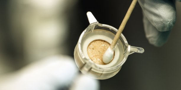 Những hũ da người n&agrave;y sẽ cứu sống h&agrave;ng triệu động vật th&iacute; nghiệm đang xả th&acirc;n phục vụ ng&agrave;nh c&ocirc;ng nghiệp mỹ phẩm - Ảnh 7.