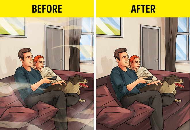 10 lợi ích không ngờ từ việc sử dụng máy lọc không khí - Ảnh 7. 10 lợi ích không ngờ từ việc sử dụng máy lọc không khí - Ảnh 7.