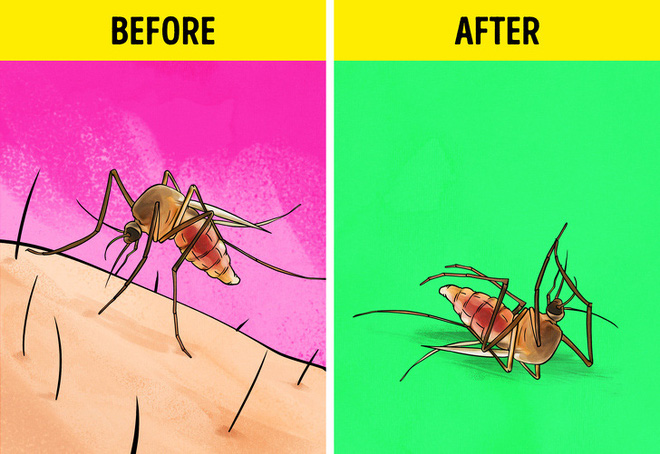 10 lợi ích không ngờ từ việc sử dụng máy lọc không khí - Ảnh 9. 10 lợi ích không ngờ từ việc sử dụng máy lọc không khí - Ảnh 9.