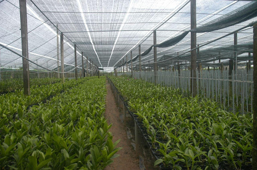 Đừng bật điều h&ograve;a cả ng&agrave;y, trước ti&ecirc;n thử &aacute;p dụng những c&aacute;ch chống n&oacute;ng n&agrave;y xem, đơn giản, tiết kiệm m&agrave; hiệu quả thấy r&otilde; - Ảnh 7.