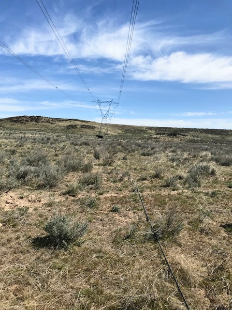 Đ&agrave;n b&ograve; dẫm phải c&aacute;p quang, Internet gặp sự cố - Ảnh 1.