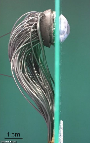  Xuất hiện mắt nh&acirc;n tạo sở hữu tốc độ phản ứng vượt xa mắt người c&ugrave;ng độ ph&acirc;n giải cực cao - Ảnh 2.