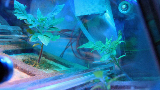  Nước tiểu của phi h&agrave;nh gia trở th&agrave;nh thứ qu&yacute; hiếm tr&ecirc;n Mặt Trăng  - Ảnh 3.