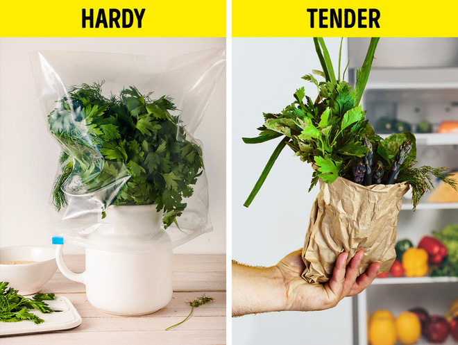  Tại sao kh&ocirc;ng n&ecirc;n khuấy đường theo v&ograve;ng tr&ograve;n? Khoa học l&yacute; giải những điều ch&uacute;ng ta vẫn l&agrave;m sai mỗi ng&agrave;y m&agrave; kh&ocirc;ng hề nhận ra - Ảnh 6.