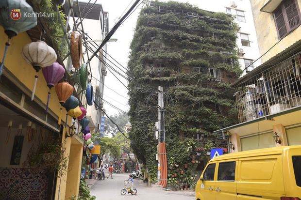 Ngắm ng&ocirc;i nh&agrave; 5 tầng phủ k&iacute;n c&acirc;y hoa giấy của nguy&ecirc;n giảng vi&ecirc;n Đại học X&acirc;y dựng H&agrave; Nội, ai đi qua cũng sững sờ - Ảnh 1.