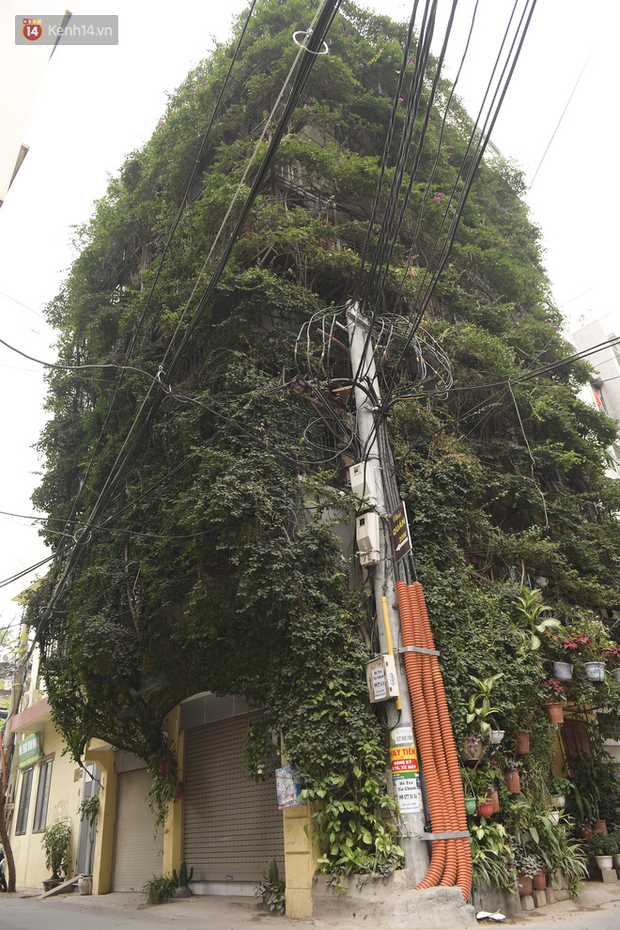 Ngắm ng&ocirc;i nh&agrave; 5 tầng phủ k&iacute;n c&acirc;y hoa giấy của nguy&ecirc;n giảng vi&ecirc;n Đại học X&acirc;y dựng H&agrave; Nội, ai đi qua cũng sững sờ - Ảnh 2.