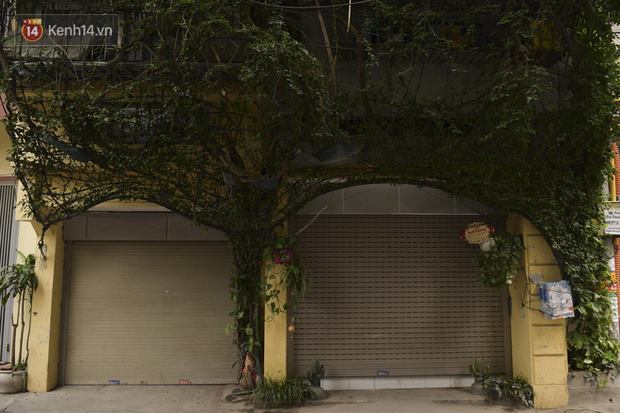 Ngắm ng&ocirc;i nh&agrave; 5 tầng phủ k&iacute;n c&acirc;y hoa giấy của nguy&ecirc;n giảng vi&ecirc;n Đại học X&acirc;y dựng H&agrave; Nội, ai đi qua cũng sững sờ - Ảnh 6.