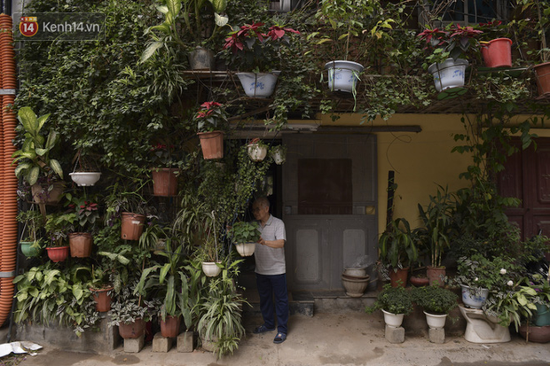 Ngắm ng&ocirc;i nh&agrave; 5 tầng phủ k&iacute;n c&acirc;y hoa giấy của nguy&ecirc;n giảng vi&ecirc;n Đại học X&acirc;y dựng H&agrave; Nội, ai đi qua cũng sững sờ - Ảnh 7.