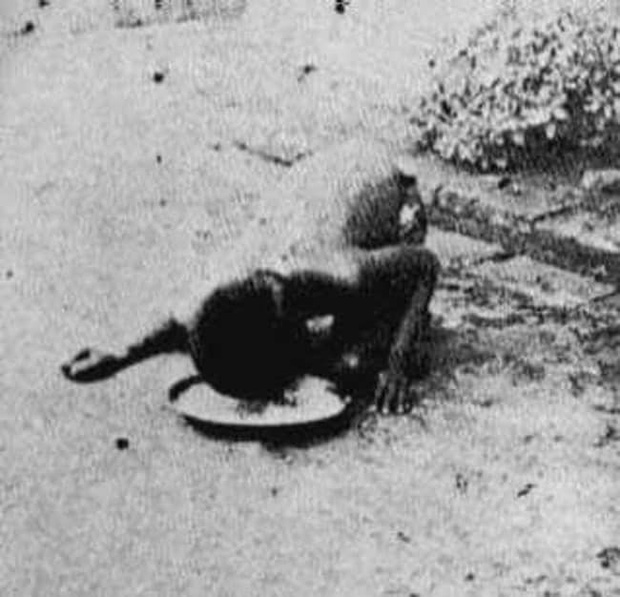 Nguy&ecirc;n mẫu đời thực của cậu b&eacute; rừng xanh: Kh&ocirc;ng n&oacute;i được tiếng người, sống như kẻ thiểu năng v&agrave; chết trong bệnh tật sau 20 năm rời bầy s&oacute;i - Ảnh 2.