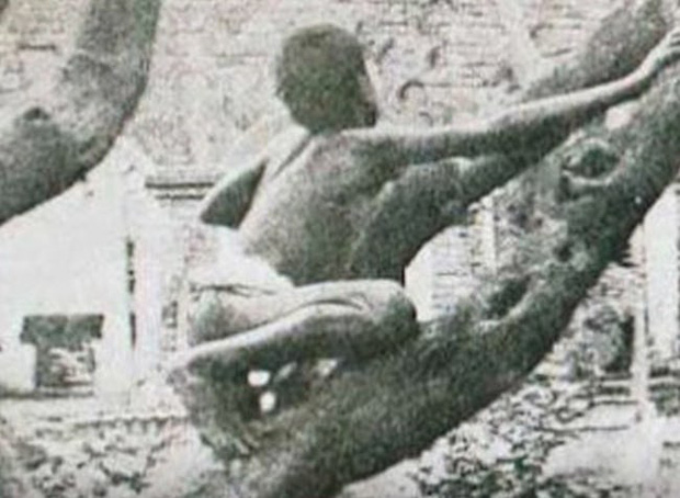 Nguy&ecirc;n mẫu đời thực của cậu b&eacute; rừng xanh: Kh&ocirc;ng n&oacute;i được tiếng người, sống như kẻ thiểu năng v&agrave; chết trong bệnh tật sau 20 năm rời bầy s&oacute;i - Ảnh 4.