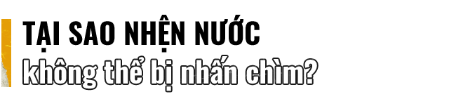 Đọc cuối tuần: Những b&iacute; ẩn của lo&agrave;i nhện nước viễn dương - sinh vật đến thần th&aacute;nh cũng kh&ocirc;ng thể nhấn ch&igrave;m - Ảnh 2.
