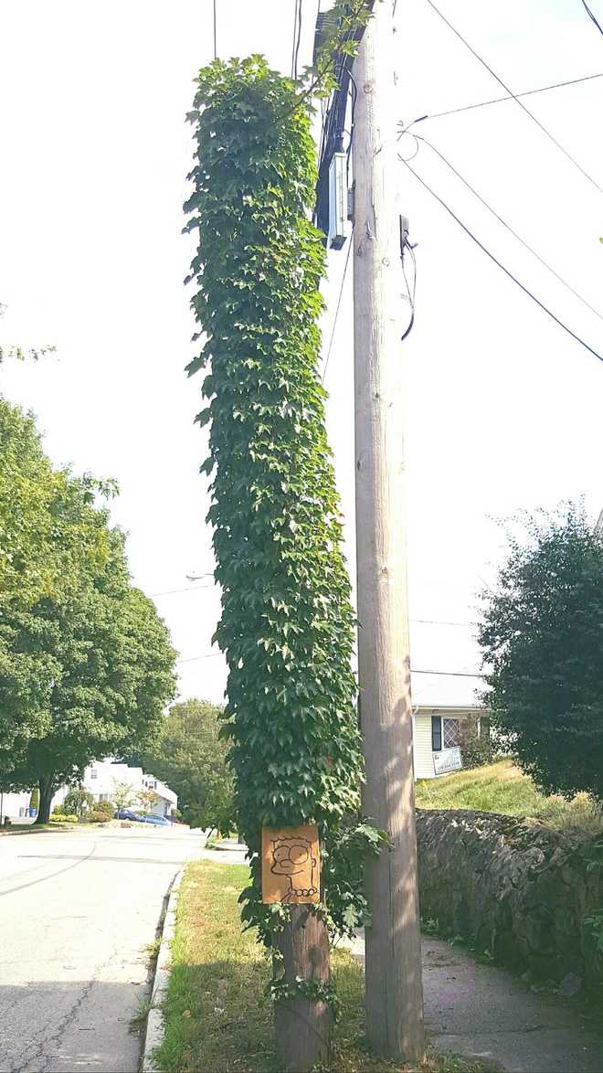 Loạt ảnh chứng minh sức s&aacute;ng tạo v&ocirc; hạn của thi&ecirc;n nhi&ecirc;n nhưng phải tinh &yacute; th&igrave; con người mới ph&aacute;t hiện ra - Ảnh 12.