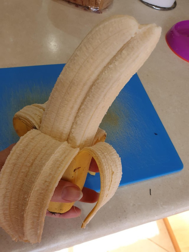 Loạt ảnh chứng minh sức s&aacute;ng tạo v&ocirc; hạn của thi&ecirc;n nhi&ecirc;n nhưng phải tinh &yacute; th&igrave; con người mới ph&aacute;t hiện ra - Ảnh 6.