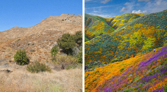 Loạt hiện tượng thiên nhiên kỳ thú mà bạn không thể nhìn thấy mỗi ngày, hoặc chẳng lần nào trong đời - Ảnh 9. Loạt hiện tượng thiên nhiên kỳ thú mà bạn không thể nhìn thấy mỗi ngày, hoặc chẳng lần nào trong đời - Ảnh 9.