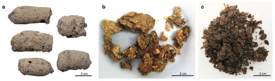 Đây là cách nhận biết một cục phân 7.000 năm tuổi là của chó hay người - Ảnh 2. Đây là cách nhận biết một cục phân 7.000 năm tuổi là của chó hay người - Ảnh 2.