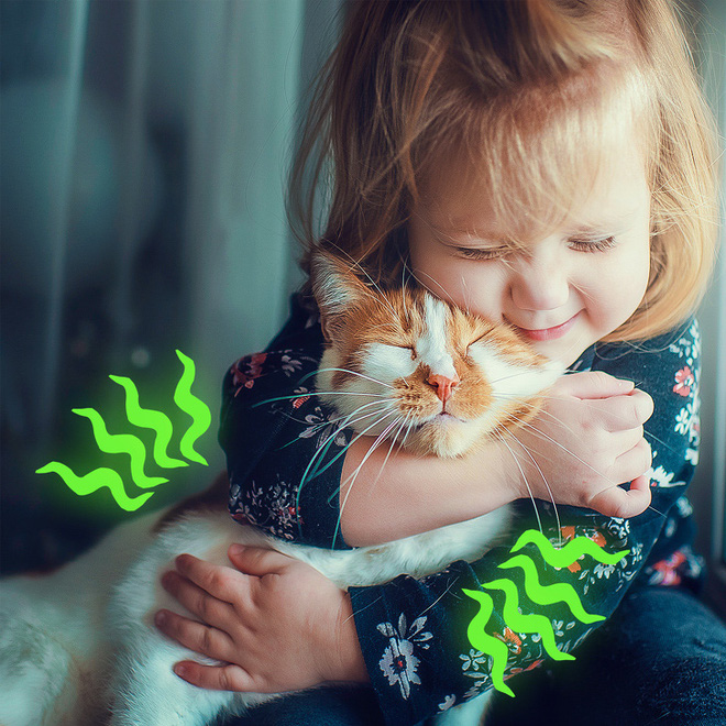 Tay vịn ghế giữa thuộc về ai? Đáp án của những câu hỏi tưởng đơn giản nhưng lại vô cùng khó nhằn - Ảnh 5. Tay vịn ghế giữa thuộc về ai? Đáp án của những câu hỏi tưởng đơn giản nhưng lại vô cùng khó nhằn - Ảnh 5.