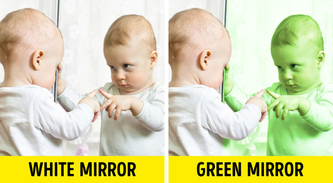 Tay vịn ghế giữa thuộc về ai? Đáp án của những câu hỏi tưởng đơn giản nhưng lại vô cùng khó nhằn - Ảnh 6. Tay vịn ghế giữa thuộc về ai? Đáp án của những câu hỏi tưởng đơn giản nhưng lại vô cùng khó nhằn - Ảnh 6.