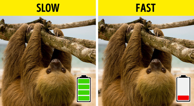 Tay vịn ghế giữa thuộc về ai? Đáp án của những câu hỏi tưởng đơn giản nhưng lại vô cùng khó nhằn - Ảnh 7. Tay vịn ghế giữa thuộc về ai? Đáp án của những câu hỏi tưởng đơn giản nhưng lại vô cùng khó nhằn - Ảnh 7.