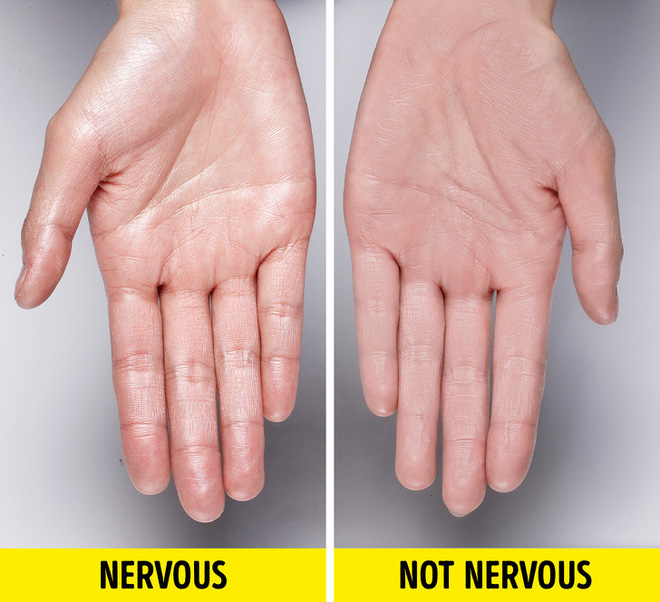 Tay vịn ghế giữa thuộc về ai? Đáp án của những câu hỏi tưởng đơn giản nhưng lại vô cùng khó nhằn - Ảnh 12. Tay vịn ghế giữa thuộc về ai? Đáp án của những câu hỏi tưởng đơn giản nhưng lại vô cùng khó nhằn - Ảnh 12.