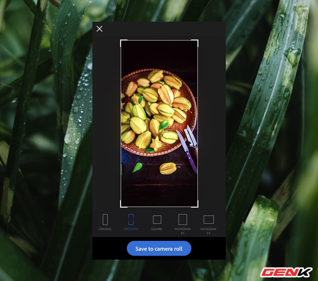Adobe Camera có gì hay so với các ứng dụng chỉnh sửa ảnh cho smartphone như VSCO hay Camera360? - Ảnh 13. Adobe Camera có gì hay so với các ứng dụng chỉnh sửa ảnh cho smartphone như VSCO hay Camera360? - Ảnh 13.