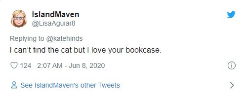 Con m&egrave;o ở đ&acirc;u? Bức ảnh n&agrave;y đ&atilde; g&acirc;y b&atilde;o tr&ecirc;n mạng x&atilde; hội Twitter những ng&agrave;y qua - Ảnh 2.