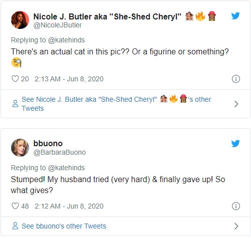 Con m&egrave;o ở đ&acirc;u? Bức ảnh n&agrave;y đ&atilde; g&acirc;y b&atilde;o tr&ecirc;n mạng x&atilde; hội Twitter những ng&agrave;y qua - Ảnh 3.