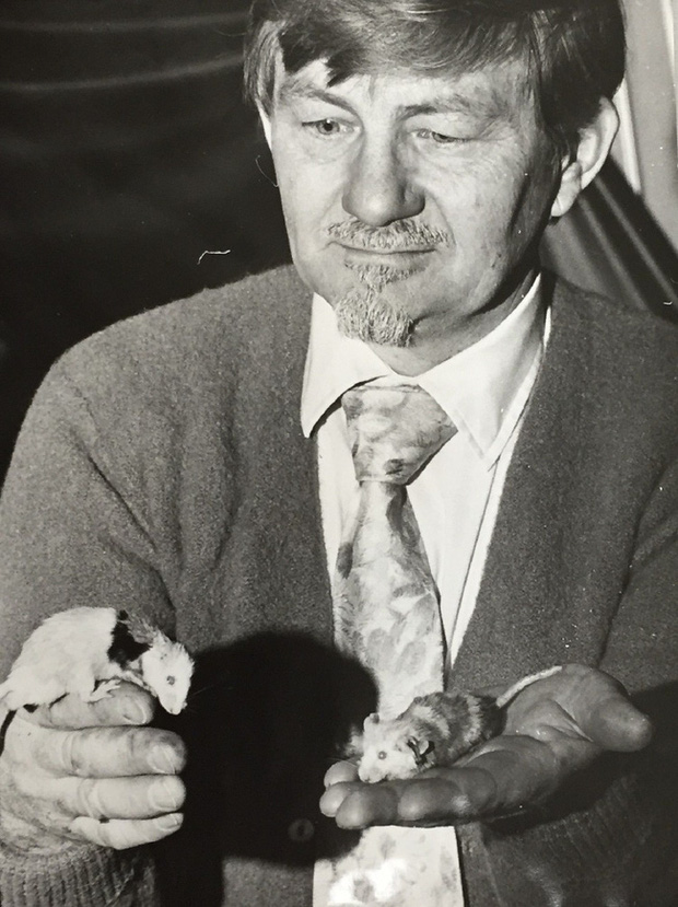 Th&agrave;nh phố chuột: Th&iacute; nghiệm động vật gh&ecirc; rợn nhất từng được thực hiện, sự diệt vong của bầy chuột gợi mở suy ngẫm về tương lai nh&acirc;n loại - Ảnh 3.