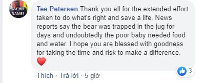 Ngạt thở với đoạn video giải cứu chú gấu vùng vẫy giữa hồ vì bị mắc kẹt đầu trong lọ nhựa - Ảnh 7. Ngạt thở với đoạn video giải cứu chú gấu vùng vẫy giữa hồ vì bị mắc kẹt đầu trong lọ nhựa - Ảnh 7.