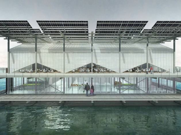  Ngỡ ng&agrave;ng trước trang trại g&agrave; nổi tr&ecirc;n mặt nước ở H&agrave; Lan - Ảnh 2.