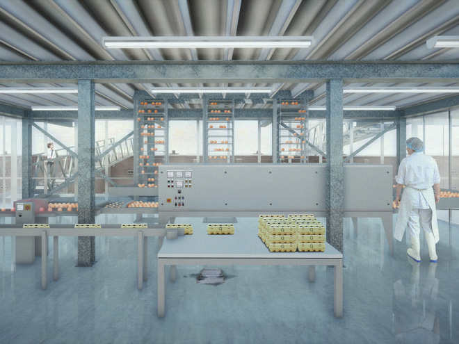  Ngỡ ng&agrave;ng trước trang trại g&agrave; nổi tr&ecirc;n mặt nước ở H&agrave; Lan - Ảnh 3.