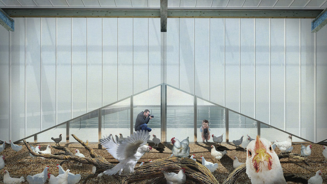  Ngỡ ng&agrave;ng trước trang trại g&agrave; nổi tr&ecirc;n mặt nước ở H&agrave; Lan - Ảnh 7.