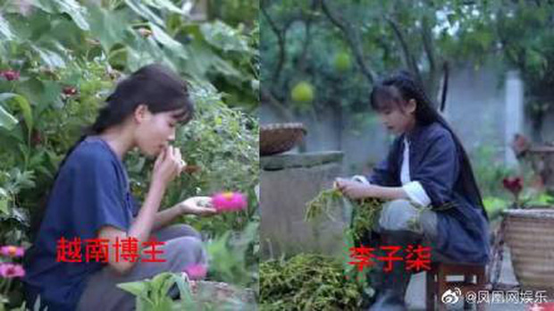 Nghi vấn một kênh Youtube Việt Nam “đạo nhái” Lý Tử Thất bị netizen Trung Quốc lên án gay gắt, lọt hẳn top 1 tìm kiếm weibo - Ảnh 5. Nghi vấn một kênh Youtube Việt Nam “đạo nhái” Lý Tử Thất bị netizen Trung Quốc lên án gay gắt, lọt hẳn top 1 tìm kiếm weibo - Ảnh 5.