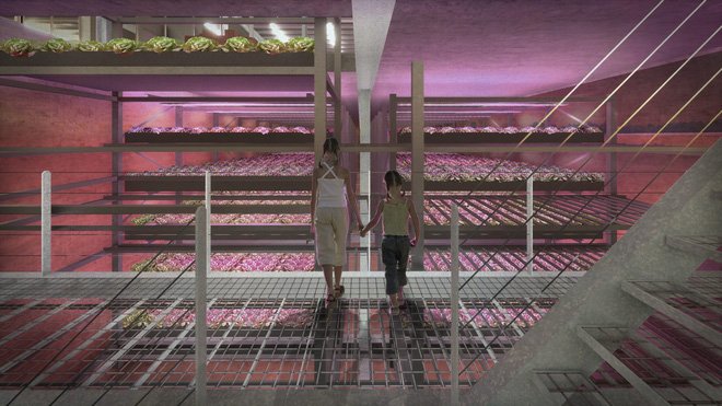  Ngỡ ng&agrave;ng trước trang trại g&agrave; nổi tr&ecirc;n mặt nước ở H&agrave; Lan - Ảnh 8.