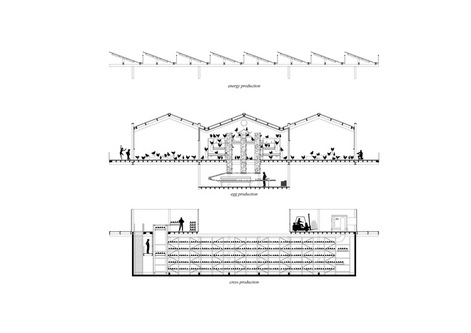  Ngỡ ng&agrave;ng trước trang trại g&agrave; nổi tr&ecirc;n mặt nước ở H&agrave; Lan - Ảnh 9.