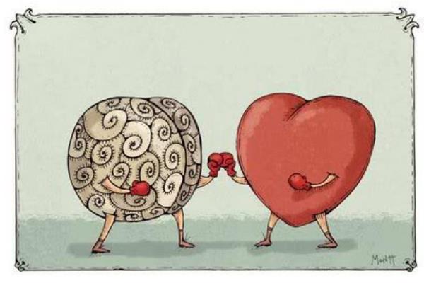 Nếu phải đưa ra quyết định quan trọng, hãy nghe theo Jeff Bezos: ‘Đừng làm theo lý trí’ - Ảnh 3. Nếu phải đưa ra quyết định quan trọng, hãy nghe theo Jeff Bezos: ‘Đừng làm theo lý trí’ - Ảnh 3.