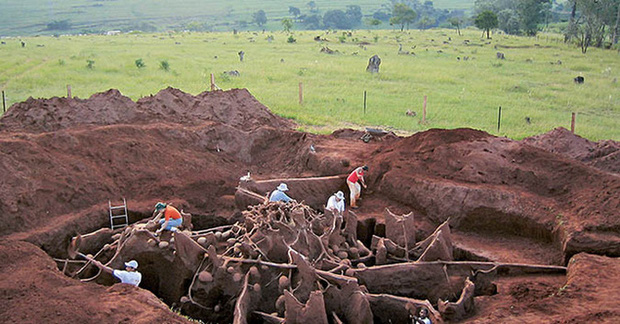 Đổ 10 tấn xi măng xuống tổ kiến dưới l&ograve;ng đất, nh&agrave; khoa học kh&ocirc;ng thể tin v&agrave;o mắt m&igrave;nh khi kh&aacute;m ph&aacute; ra th&agrave;nh phố khổng lồ - Ảnh 2.