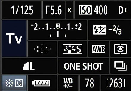 V&igrave; sao bạn cần chọn cho m&igrave;nh một chiếc m&aacute;y ảnh chuy&ecirc;n nghiệp? - Ảnh 2.