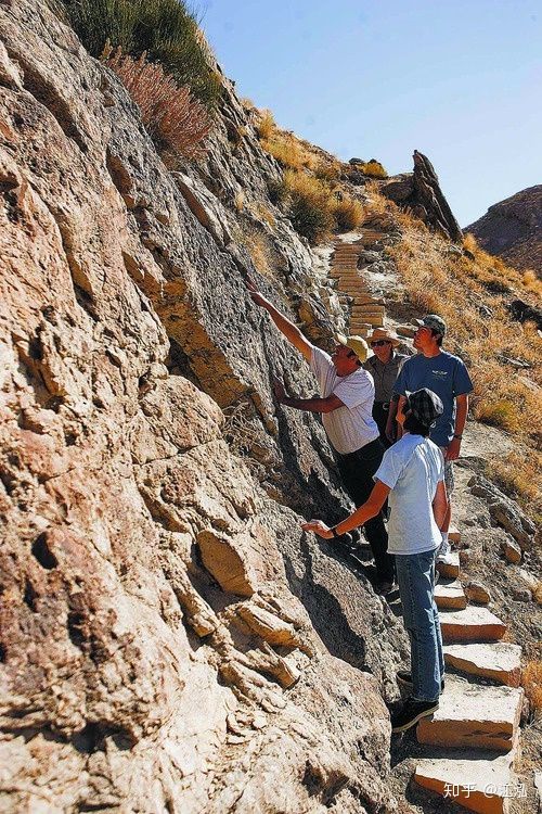 Canada phát hiện ra loài khủng long bay mới, có kích thước tương đương một chiếc máy bay nhỏ - Ảnh 3. Canada phát hiện ra loài khủng long bay mới, có kích thước tương đương một chiếc máy bay nhỏ - Ảnh 3.