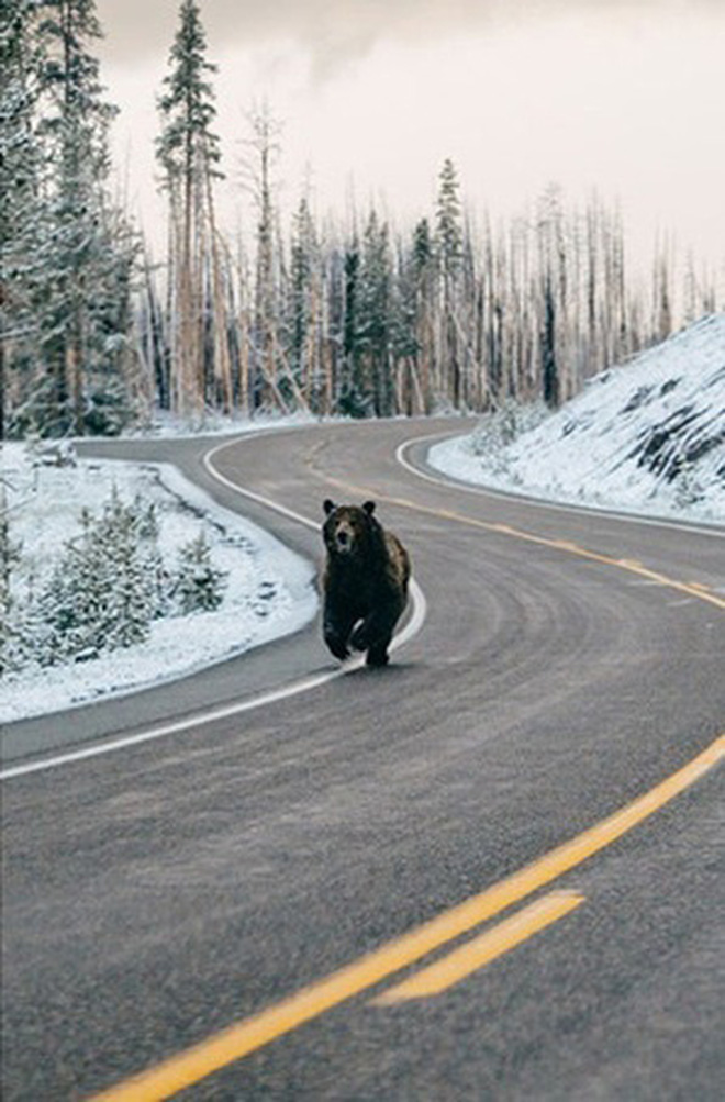 Những bức ảnh từng một thời khiến cộng đồng mạng trầm trồ kinh ngạc nhưng hoá ra đều là cú lừa cực đỉnh - Ảnh 2. Những bức ảnh từng một thời khiến cộng đồng mạng trầm trồ kinh ngạc nhưng hoá ra đều là cú lừa cực đỉnh - Ảnh 2.