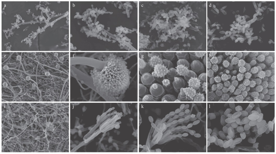  Bạn c&oacute; thực sự biết c&aacute;ch d&ugrave;ng tủ lạnh kh&ocirc;ng? Trả lời những c&acirc;u hỏi n&agrave;y để biết sự thật - Ảnh 4.