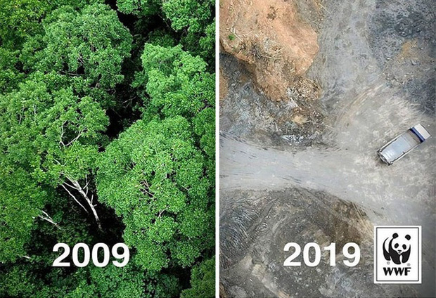 Những bức ảnh từng một thời khiến cộng đồng mạng trầm trồ kinh ngạc nhưng hoá ra đều là cú lừa cực đỉnh - Ảnh 11. Những bức ảnh từng một thời khiến cộng đồng mạng trầm trồ kinh ngạc nhưng hoá ra đều là cú lừa cực đỉnh - Ảnh 11.