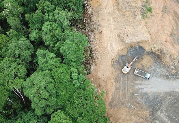 Những bức ảnh từng một thời khiến cộng đồng mạng trầm trồ kinh ngạc nhưng hoá ra đều là cú lừa cực đỉnh - Ảnh 12. Những bức ảnh từng một thời khiến cộng đồng mạng trầm trồ kinh ngạc nhưng hoá ra đều là cú lừa cực đỉnh - Ảnh 12.