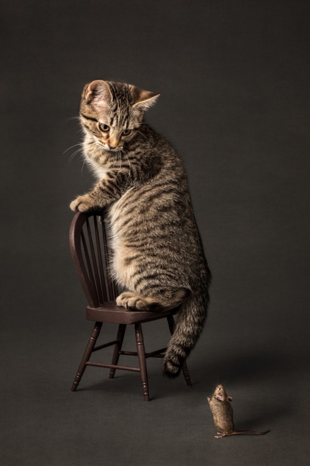 Chi&ecirc;m ngưỡng c&aacute;c t&aacute;c phẩm ảnh s&aacute;ng tạo xuất sắc tại giải thưởng Creative Photography Awards 2020 - Ảnh 9.