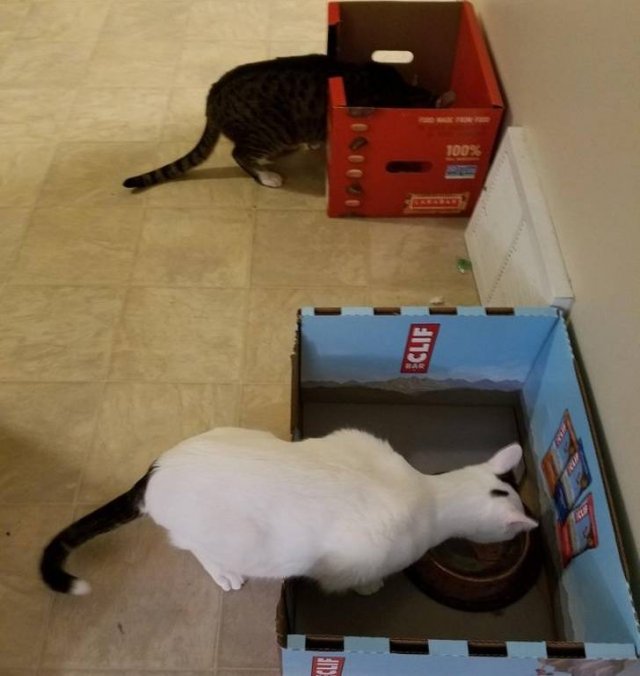 Những giải ph&aacute;p s&aacute;ng tạo gi&uacute;p xử l&yacute; vấn đề theo c&aacute;ch đơn giản đến kh&ocirc;ng ngờ - Ảnh 12.