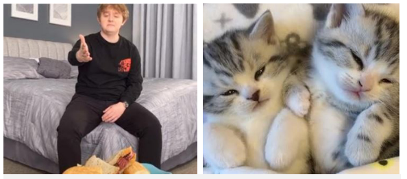 10 ph&uacute;t lướt TikTok, một thế giới kinh ho&agrave;ng hiện ra: Bạo lực, t&igrave;nh dục v&agrave; những nội dung xấu đội lốt video v&ocirc; hại - Ảnh 1.