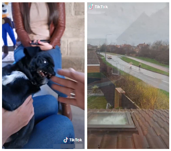 10 ph&uacute;t lướt TikTok, một thế giới kinh ho&agrave;ng hiện ra: Bạo lực, t&igrave;nh dục v&agrave; những nội dung xấu đội lốt video v&ocirc; hại - Ảnh 6.