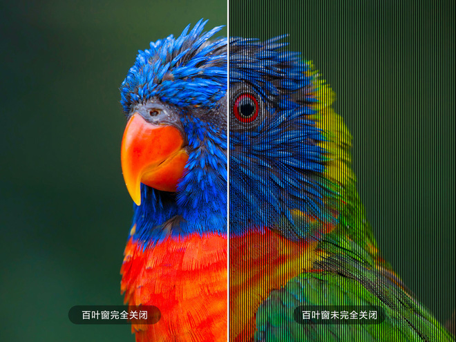  Đ&acirc;y ch&iacute;nh l&agrave; b&iacute; quyết tạo ra chiếc TV trong suốt độc nhất v&ocirc; nhị của Xiaomi - Ảnh 4.