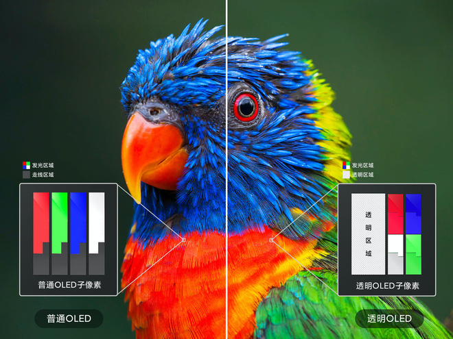  Đ&acirc;y ch&iacute;nh l&agrave; b&iacute; quyết tạo ra chiếc TV trong suốt độc nhất v&ocirc; nhị của Xiaomi - Ảnh 5.